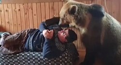 Preslatka snimka: Veliki medvjed bori se sa svojim vlasnikom za mjesto na kauču