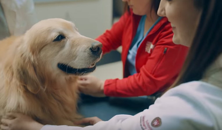 Reklamom od 6 milijuna dolara zahvalio veterinarima koji su mu spasili psa
