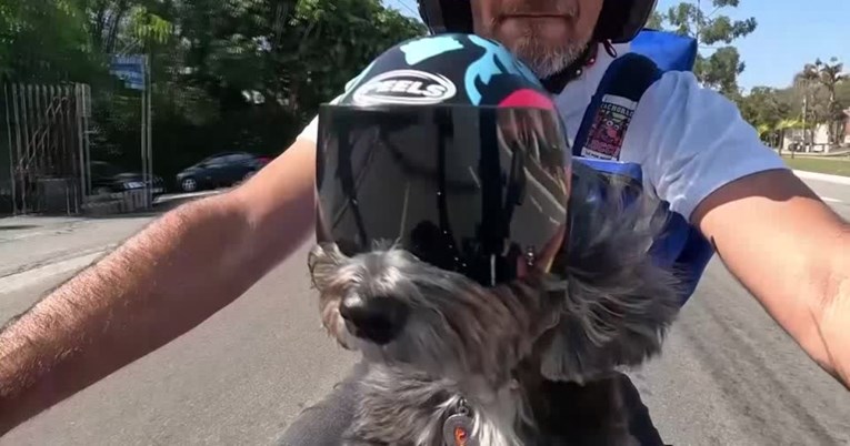 Čovjek i pas na motociklu pomažu gladnim psima u Brazilu