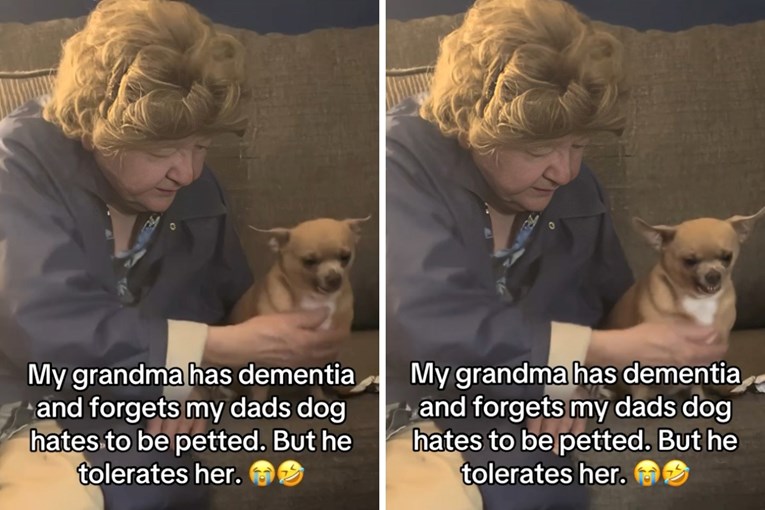 Čivava pokazuje razumijevanje za baku koja ima demenciju, video će vas raznježiti