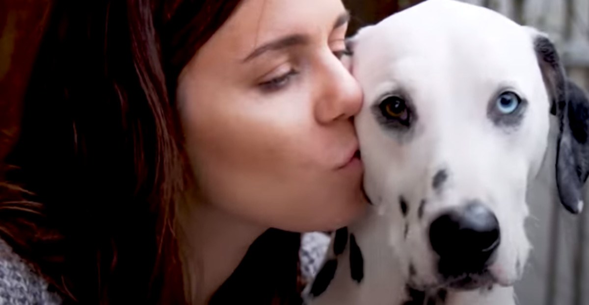 Gluhi dalmatiner i njegova vlasnica sporazumijevaju se znakovnim jezikom