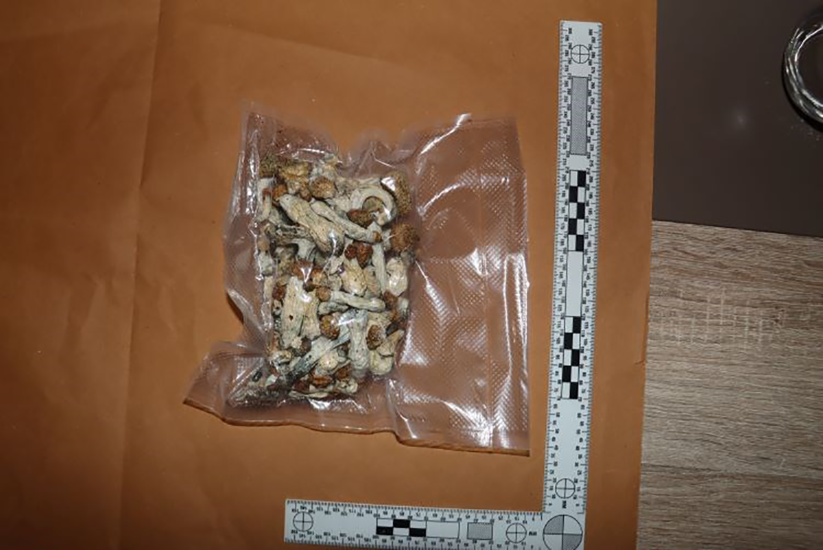 U Zagrebu pronađen improvizirani laboratorij: Zaplijenjene gljive, marihuana i LSD