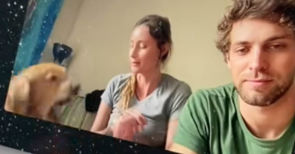 VIDEO Vlasnici su trebali planirati vjenčanje, ali njihov pas je imao druge planove