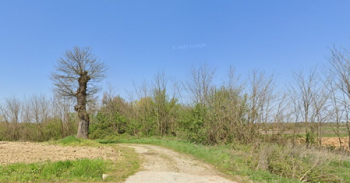 U šumi kod Antunovca ukradena stabla