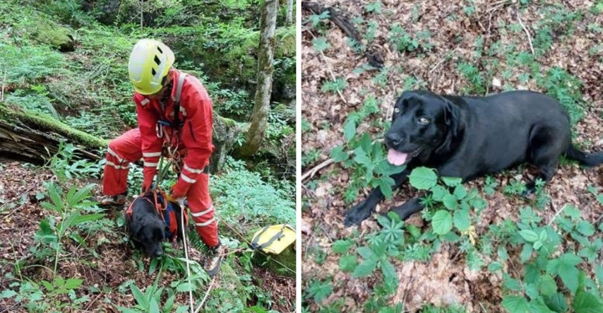HGSS-ovci spasili psa koji je u šumi upao u jamu