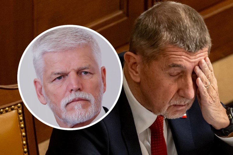 Češka vlada na summit NATO-a šalje premijera Babiša. Predsjednik ih tužio