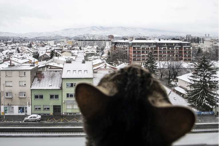 Maca uživa u pogledu na snijegom prekriven Zagreb
