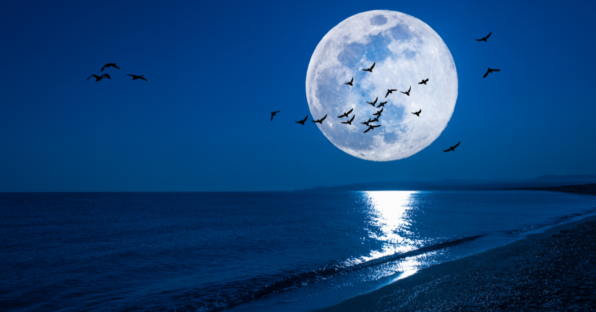 Sutra nas na nebu čeka pravi spektakl, tako nešto opet će se dogoditi tek 2026.