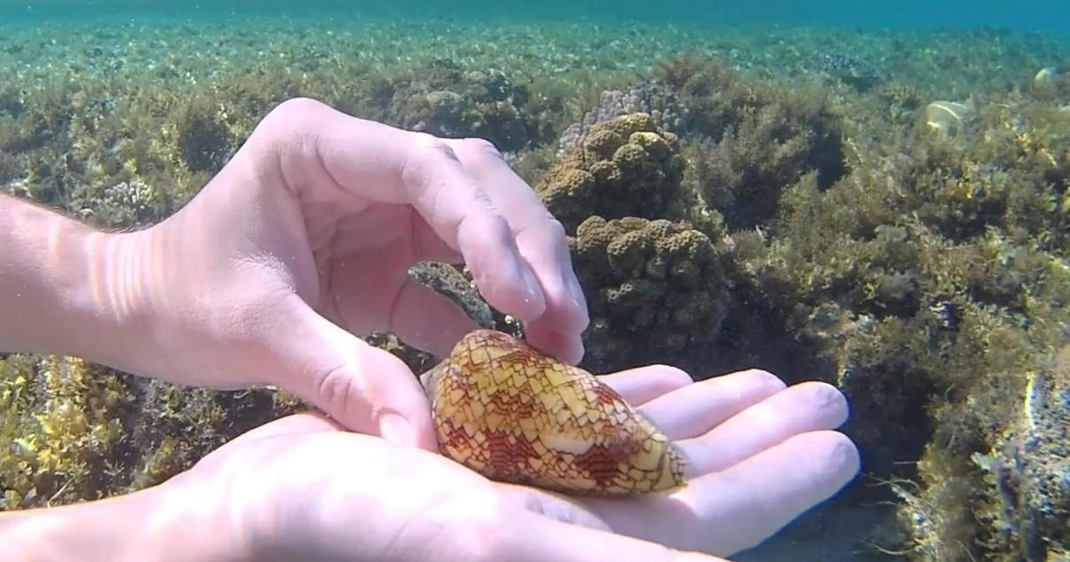 Kad se vratio kući s putovanja na fotki shvatio da je imao sreće da je ostao živ