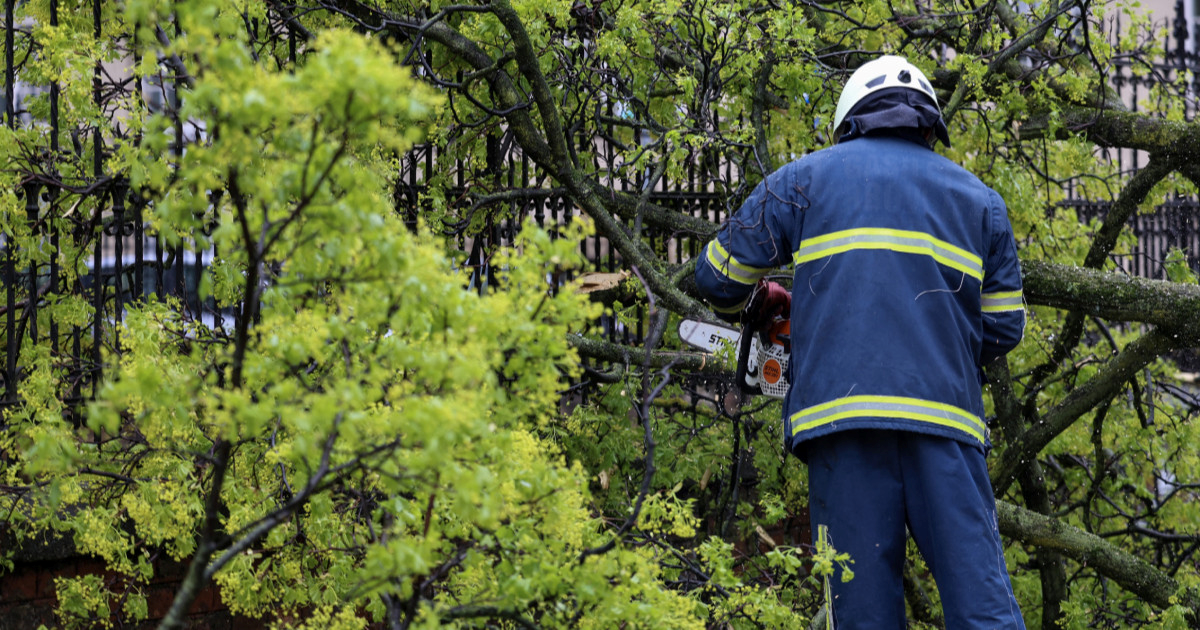 Gotovo 500 intervencija vatrogasaca u Zagrebačkoj županiji