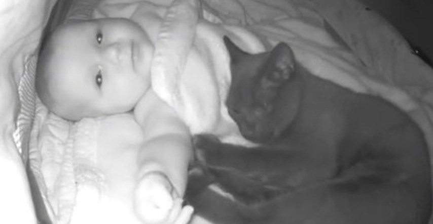Kamera snimila što mačka tijekom noći radi u bebinoj kolijevci, prizor je presladak