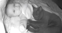 Kamera snimila što mačka tijekom noći radi u bebinoj kolijevci, prizor je presladak