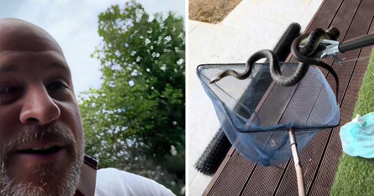"Dva metra od mene": Reneu Bitorajcu zmija se popela na prozor, on ju uhvatio