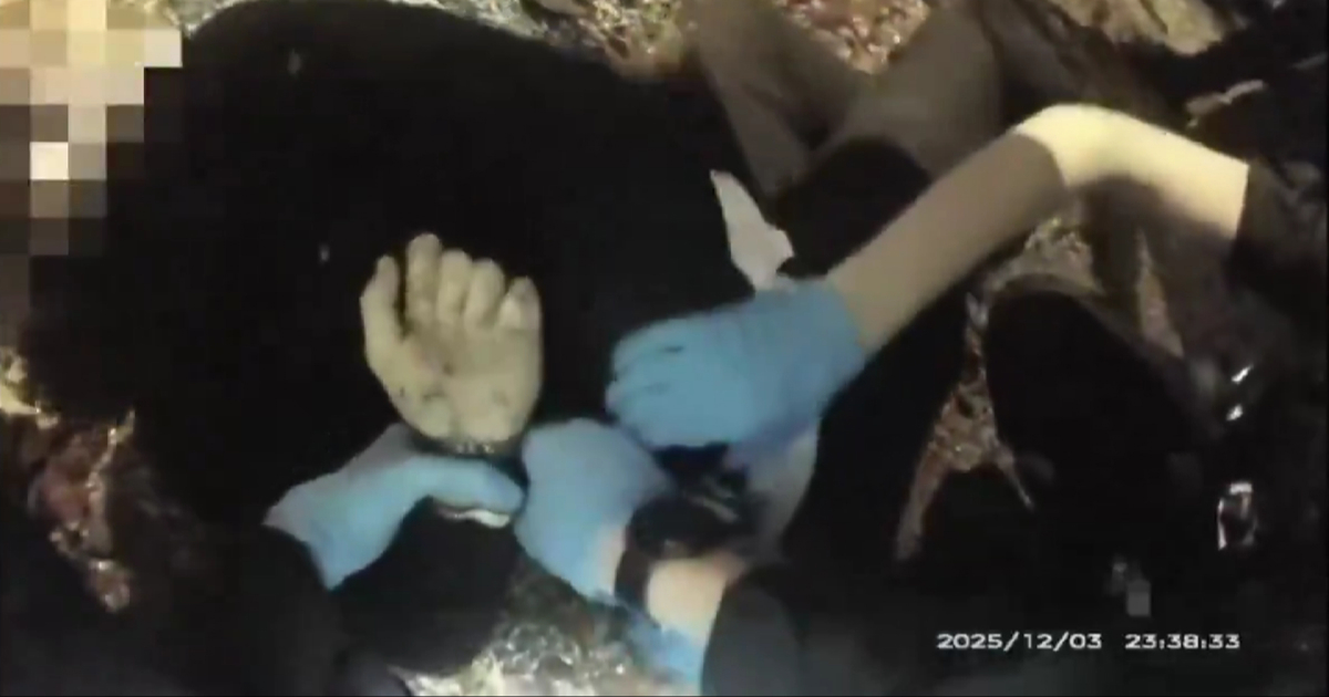 VIDEO Policija stavila lisice Britancu kojeg je izbo Sikh, umro je. Objavljena snimka