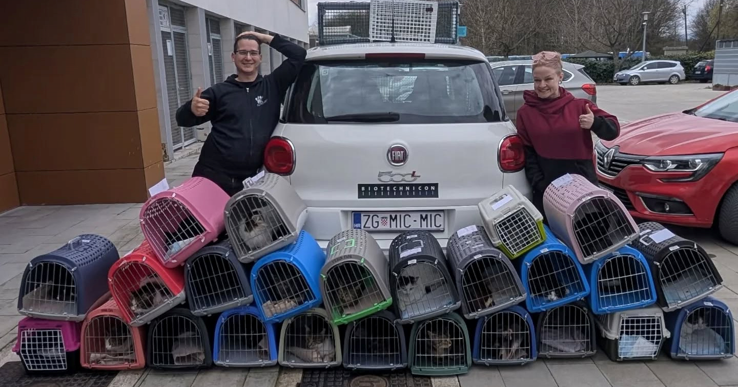 Udruga Prava šapa uz pomoć Dumovca kastrirala 72 ulične mačke u pet dana