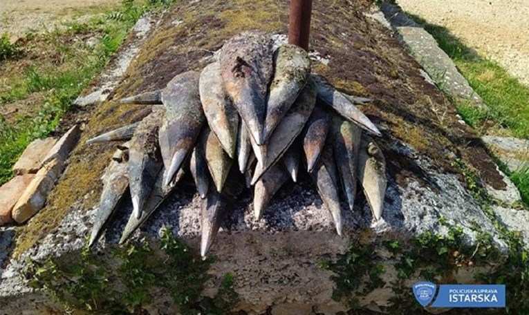 FOTO Poljak u Istri iz mora izvadio 29 periski, poslagao ih po madracu