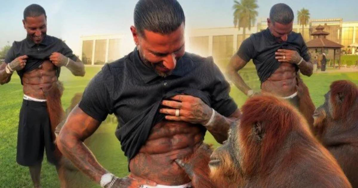 Orangutan nije mogao prestati dirati Quaresmine trbušnjake. Pogledajte viralnu snimku