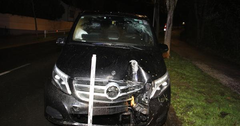 FOTO Pijani Kinez autom se zabio u drvo u Zagrebu