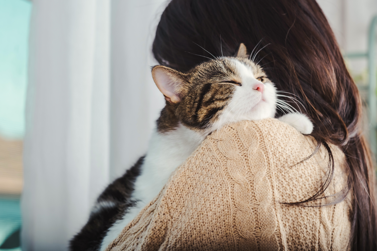 Kako znati da vas mačka smatra "glavnim" vlasnikom