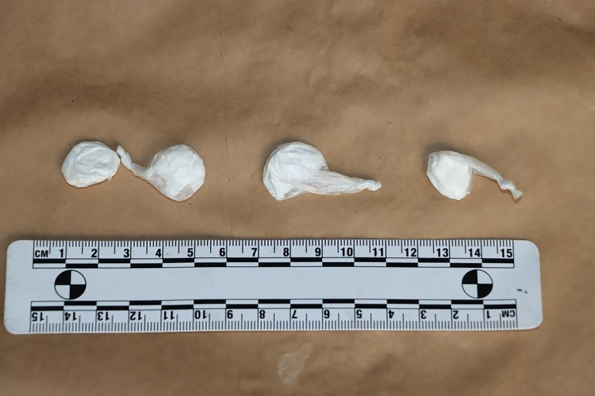 VIDEO U Kerestincu zaplijenjeno 36 kg marihuane i 240 g kokaina