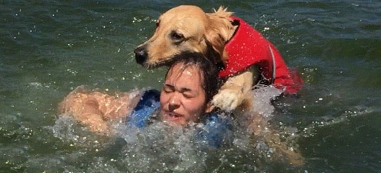 Cijeli se internet smije nespretnom psu koji je dan na jezeru pretvorio u pravi show