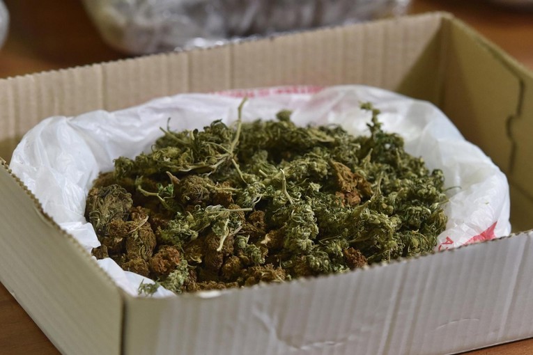 Na Hvaru pronađeno više od 1.2 kilograma marihuane, muškarac uhićen