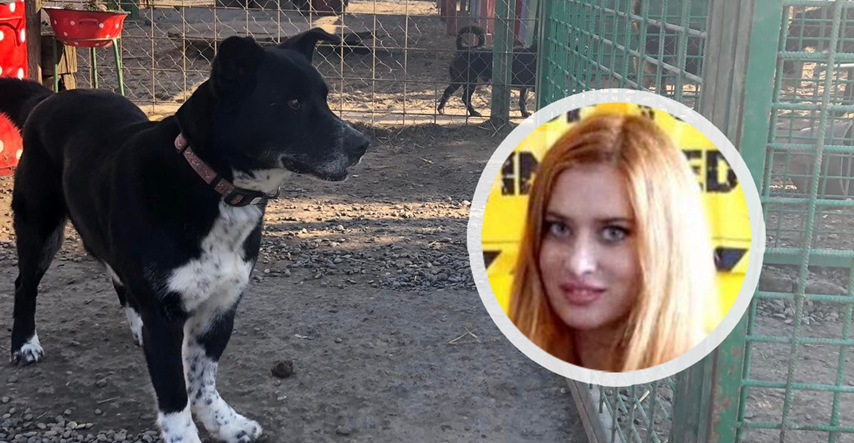 Na Fejsu osvanula tužna priča o psu kojeg su vratili u azil, javila se domaća glumica