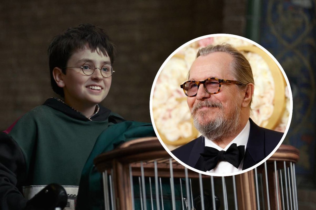 Gary Oldman predviđa da će HBO-ova serija o Potteru biti bolja od filmova
