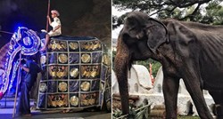 Izgladnjela slonica srušila se od iznemoglosti nakon prisilne parade