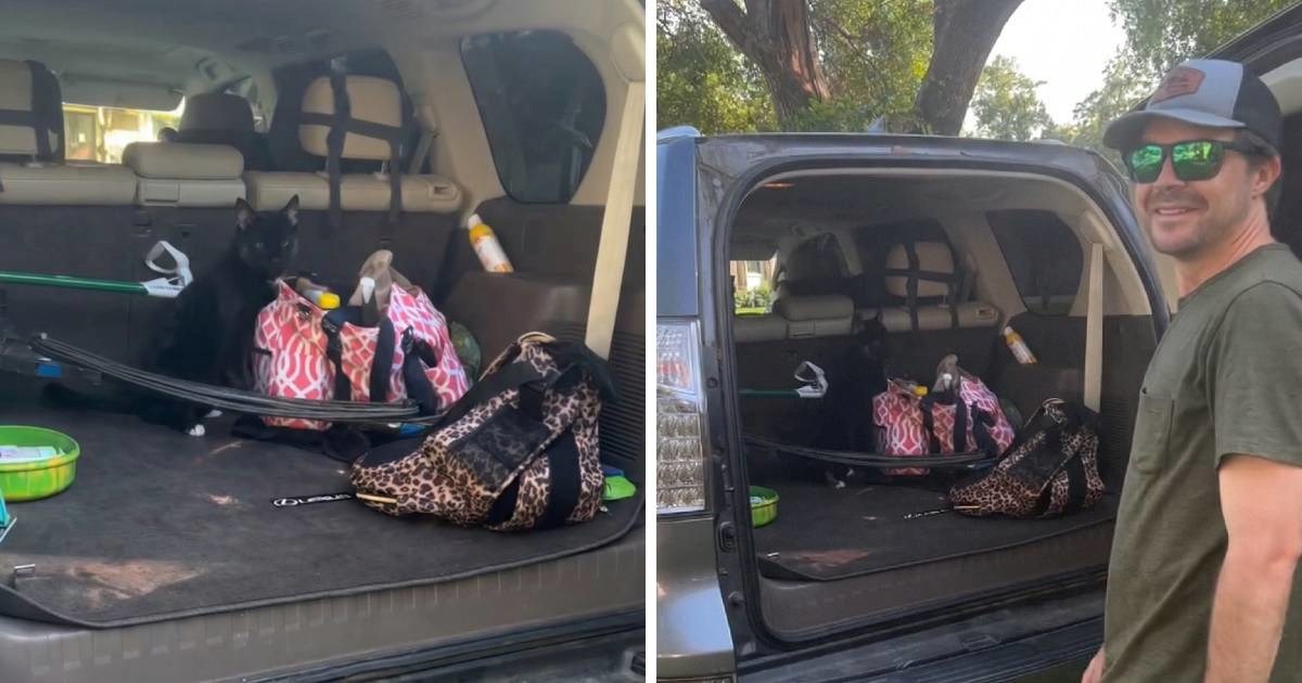 Zamolila muža da izvadi namirnice iz auta, ono što se dogodilo oduševilo milijune