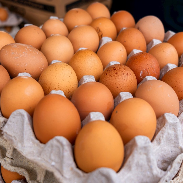 Gdje kupujete jaja? Evo stvarne razlike između onih domaćih i iz dućana
