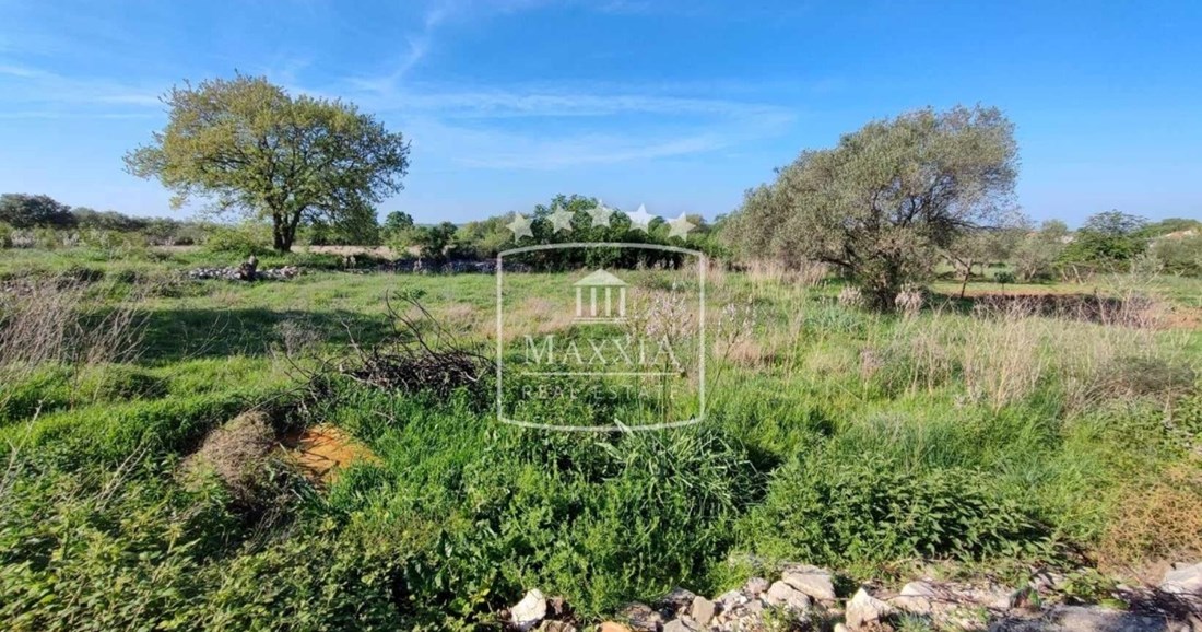 Poličnik: Za samo 29.000 eura kupite kamenu starinu s poljoprivrednim zemljištem