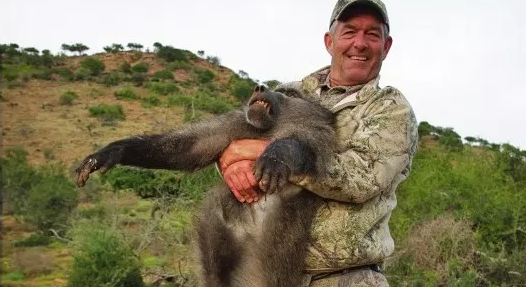 Krivolovca koji je ubio tri obitelji babuna živog pojeli lavovi