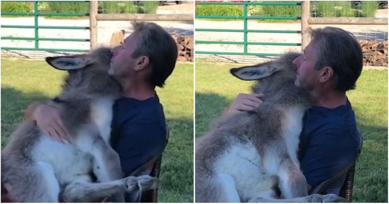 VIDEO Farmer i magarčić imaju poseban odnos, snimka pregledana 4 milijuna puta