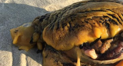 Snimio misteriozno stvorenje na plaži, lokalci upozoravaju: "To je ubojica pasa"