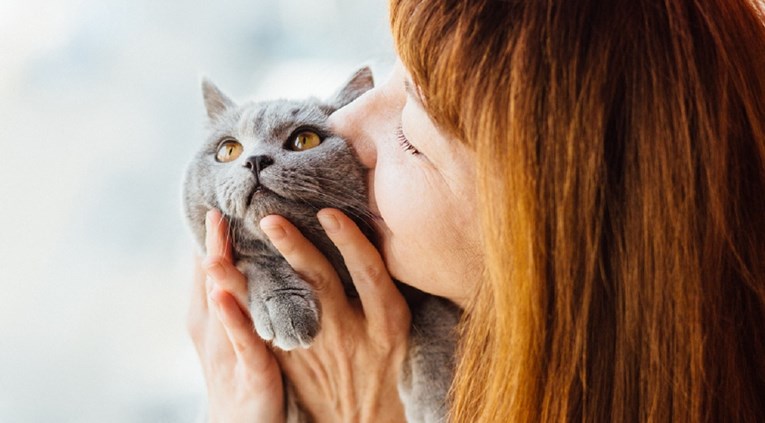 Žena pet godina tražila izgubljenu mačku. Sada ju je pronašla u lokalnom skloništu