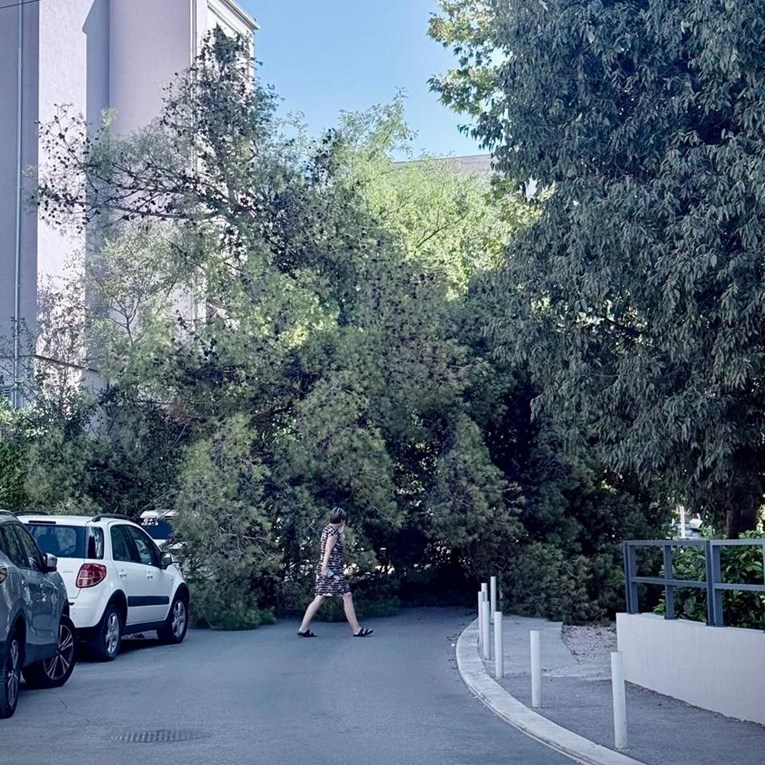 FOTO Veliki bor pao na cestu u Splitu