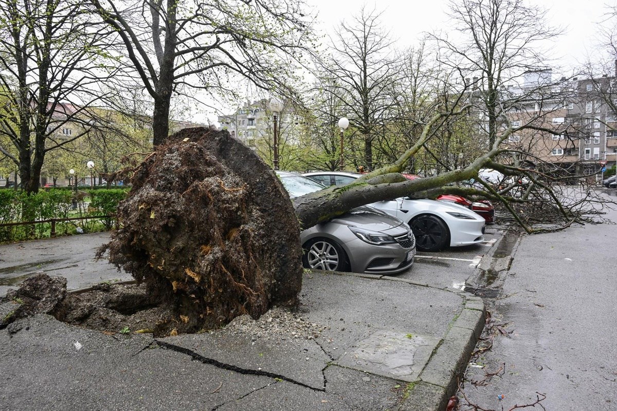 Profesori sa zagrebačkog PMF-a analizirali olujno nevrijeme koje je pogodilo Zagreb