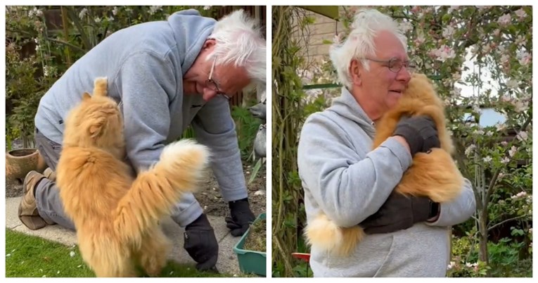 Mačak traži od vlasnika da prestane s poslom kako bi ga zagrlio, video je hit