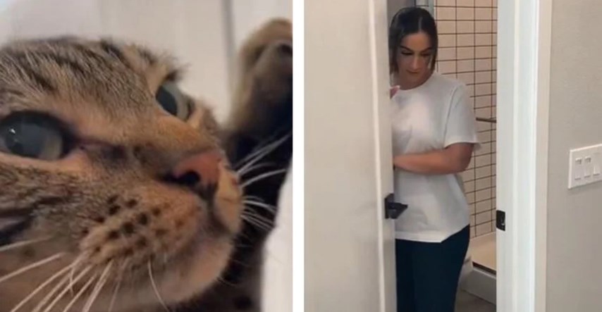 24 milijuna pregleda: Žena snimila kako mačke reagiraju kad mora na WC