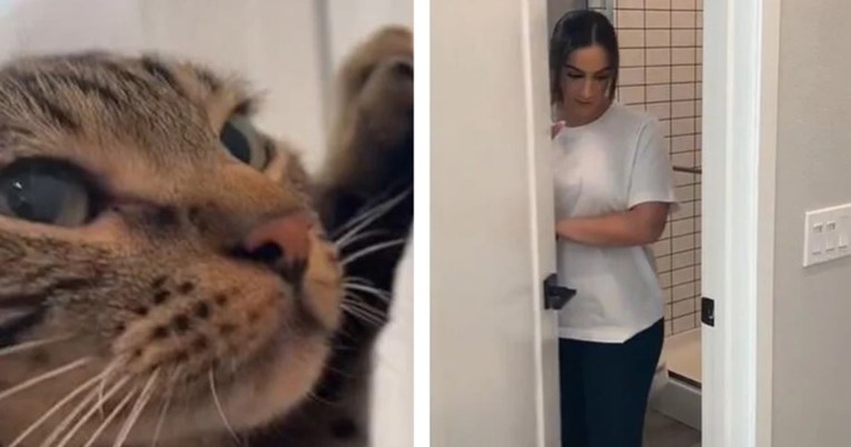 24 milijuna pregleda: Žena snimila kako mačke reagiraju kad mora na WC