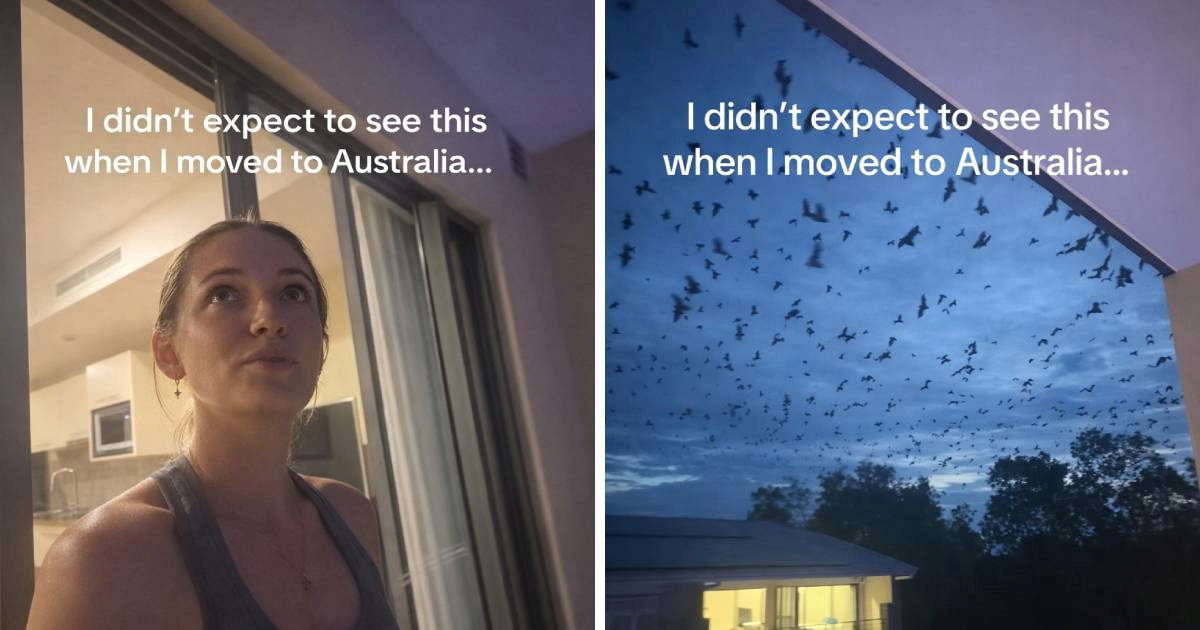 Žena se preselila u Australiju očekujući pauke, ali užasnulo ju je nešto drugo