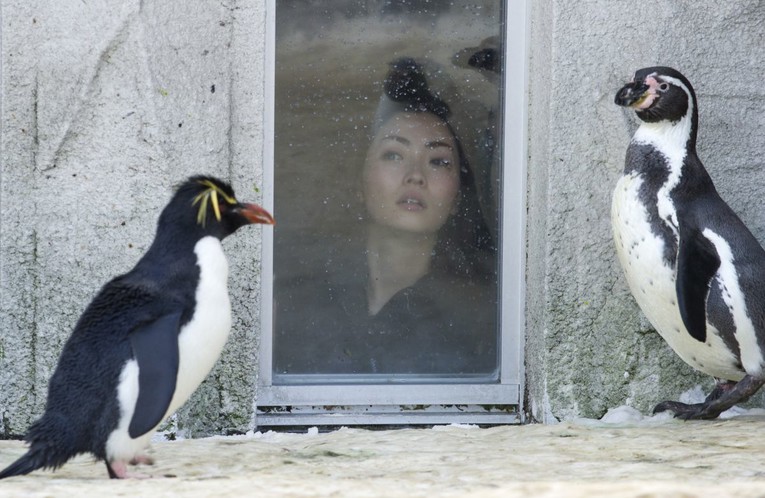 Zaposlenik zoološkog vrta u Japanu bacio tijelo supruge u spalionicu za životinje