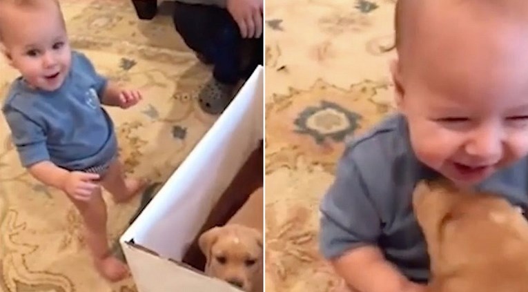 VIDEO Dječačić na poklon dobio štene, njegova reakcija oduševila milijune ljudi