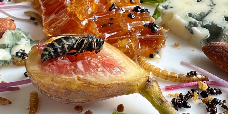 Kuhar iz New Yorka želi potaknuti ljude da jedu insekte: "Obožavam ih"