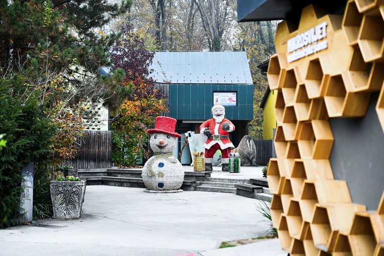 FOTO U Zoološkom vrtu u Zagrebu osvanuli prvi božićni ukrasi