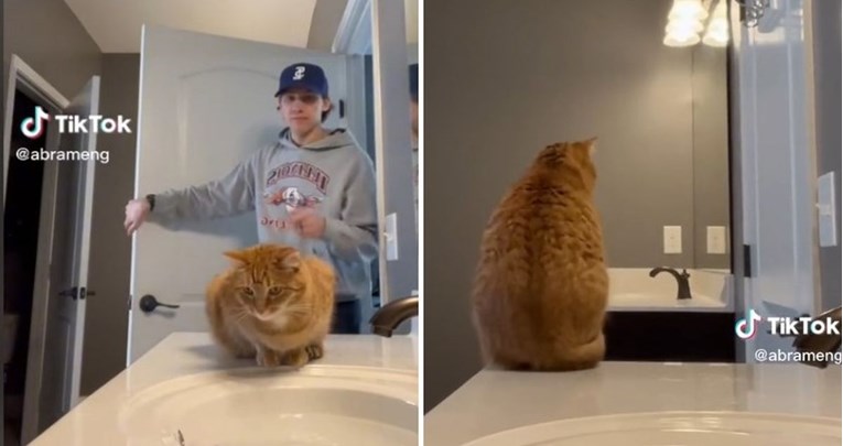 Vlasnik ostavio mačka samog u zahodu s igračkama, reakcija ljubimca ga je rasplakala