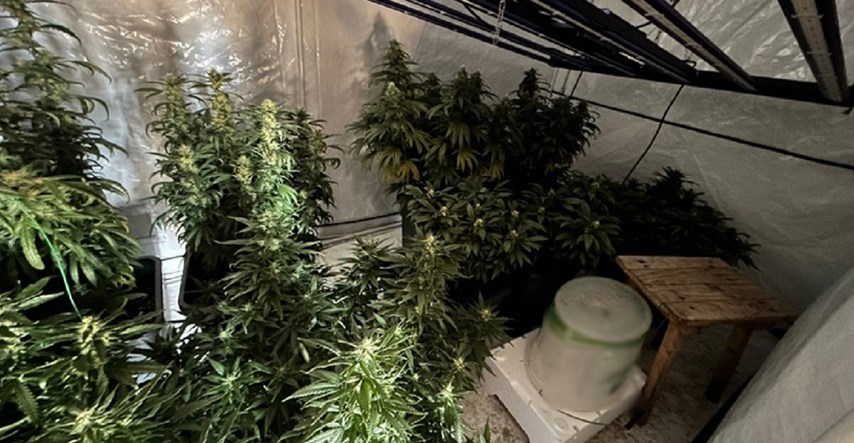 FOTO Policija kod Jastrebarskog pronašla laboratorij za uzgoj marihuane