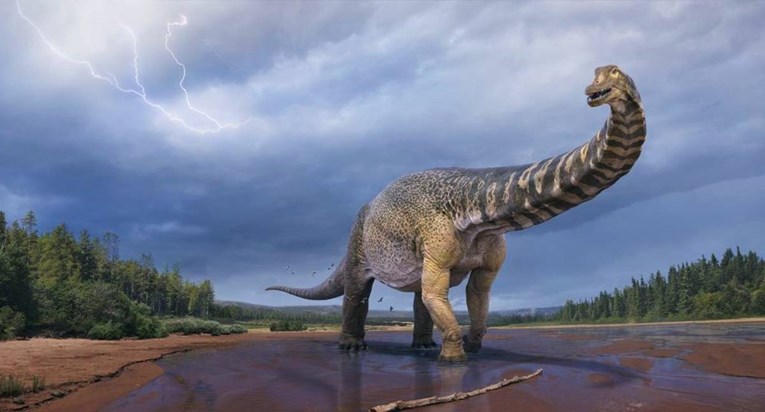 FOTO U Australiji nađeni ostaci ogromnog dinosaura, dugačkog kao košarkaško igralište