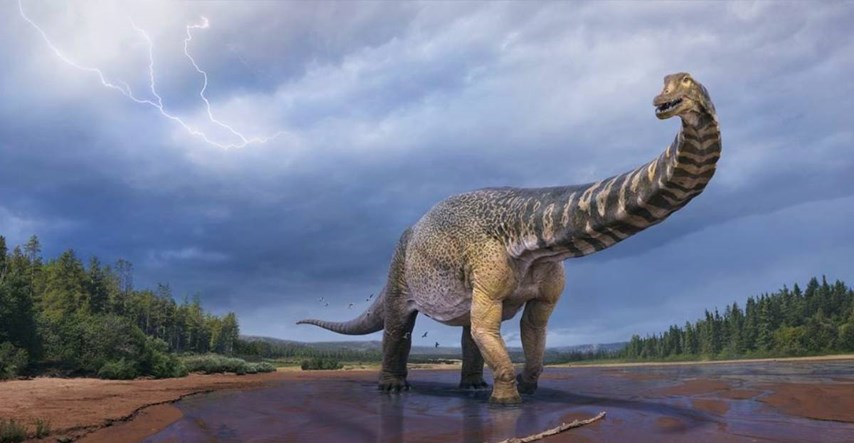 FOTO U Australiji nađeni ostaci ogromnog dinosaura, dugačkog kao košarkaško igralište